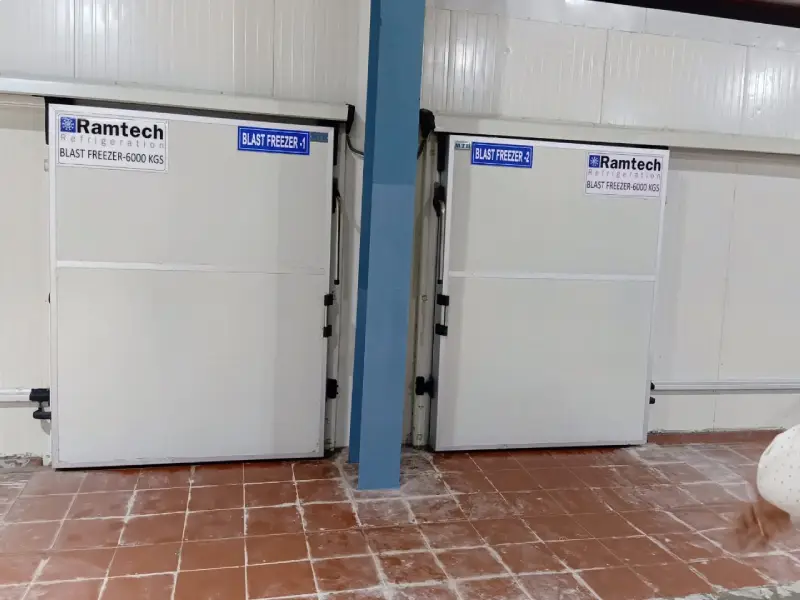 Blast Freezer and Trolley Freezer Manufacturers