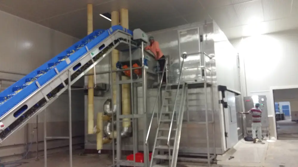 IQF freezer for fruit and vegetables Manufacturers